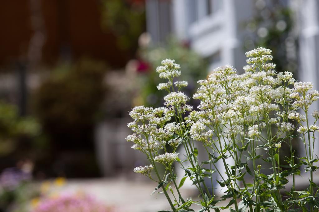 Penwinnick House B&B St Austell Exterior foto